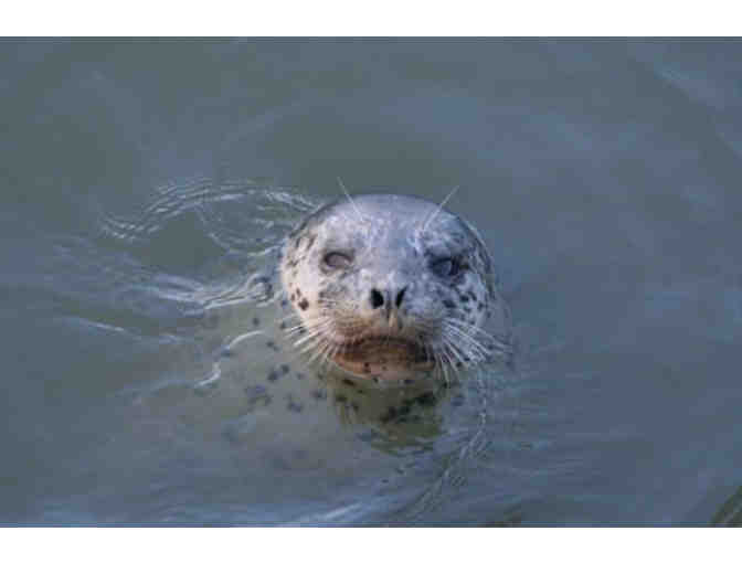 La Conner Channel Lodge