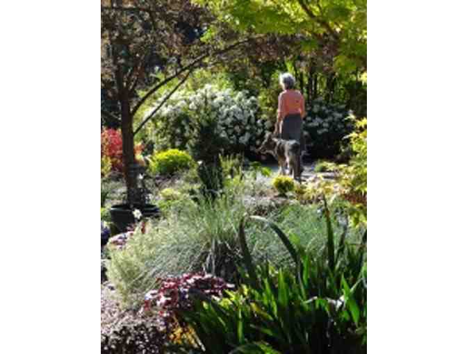 Plum Lodge Bed & Breakfast