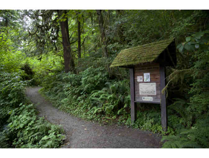 Lake Crescent Lodge - Step Back in Time & Unwind at Lake Crescent Lodge