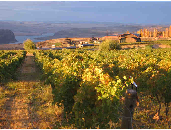 Cave B Estate Winery and Resort