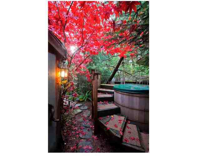 Renewal of Wedding Vows Family Retreat Wellspring Spa at Mt. Rainier