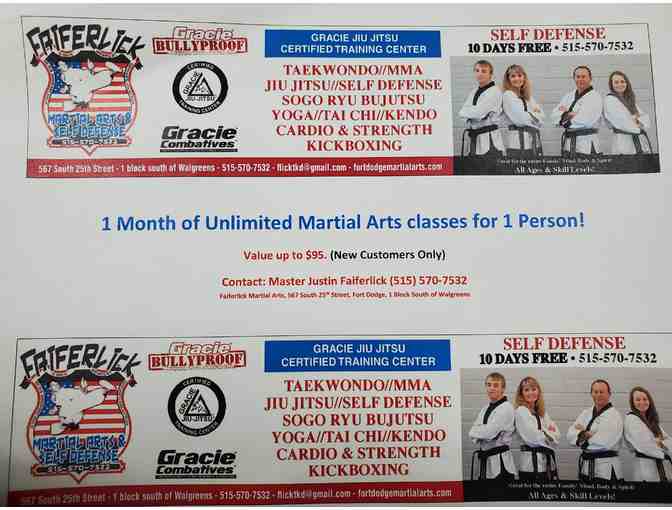 1 Month of Martial Arts Classes