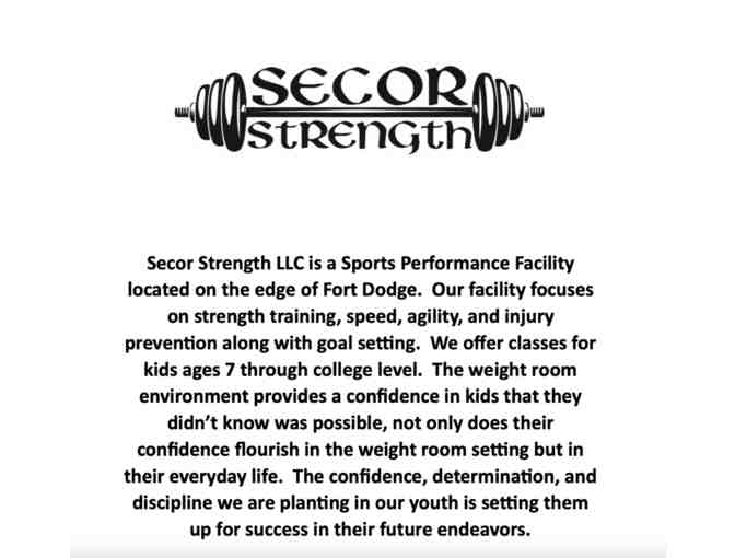 Month Long 3 days a week Youth Membership to Secor Strength - Photo 1