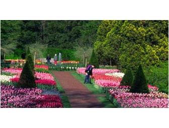 Two Admission Passes for Longwood Gardens in Kennett Square, PA (B)