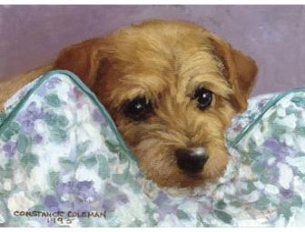 Pastel Drawing of Your Dog by Renowned Artist, Constance Coleman