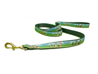 Whimsical Standard Leash with Matching Quick Release Collar