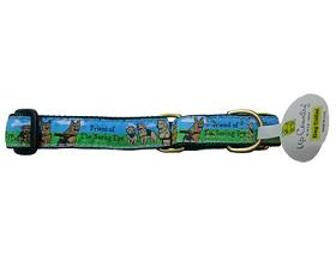 Whimsical Euro Leash with Matching Martingale Collar