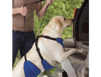4-in-1 Lift and Lead Dog Harness (Size Large)
