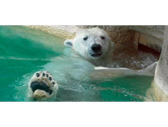Philadelphia Zoo Admission Passes for Two Adults