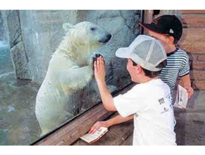 Admission for 4 to the Denver Zoo in Colorado