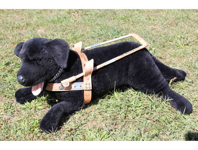 Custom-designed Authentic Seeing Eye Leather Harness