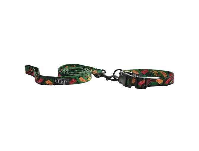 Matching Designer Dog Collar & Leash in Chili Pepper Pattern (Size S)
