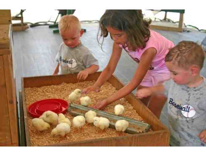 Cherry Crest Adventure Farm Admission for Four - Lancaster County, PA