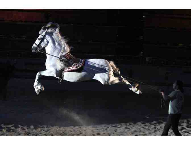 Medieval Times Dinner & Tournament for two in Lyndhurst, NJ