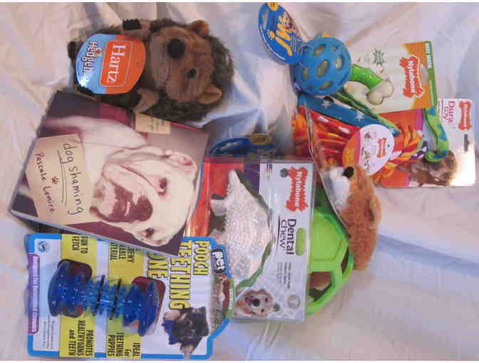 Bowl of Fun (for puppies!)