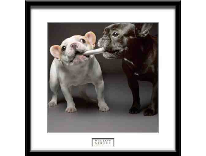 Photography Consultation and Photo Shoot - West Lawn, PA