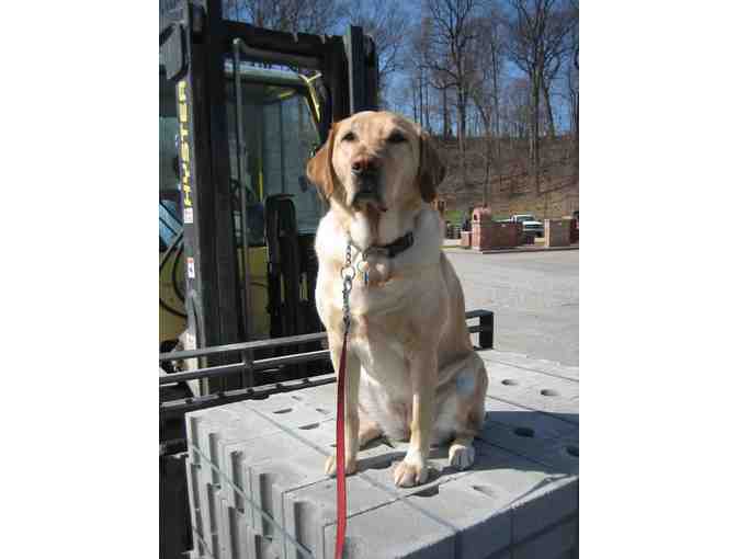 Morris Brick & Stone Co. $100 Gift Certificate for Masonry  Materials - Morristown, NJ