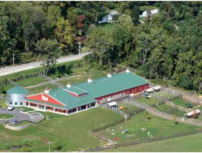 Day Camp & Bath  at Wagsworth Manor Pet Resort in Malvern, PA