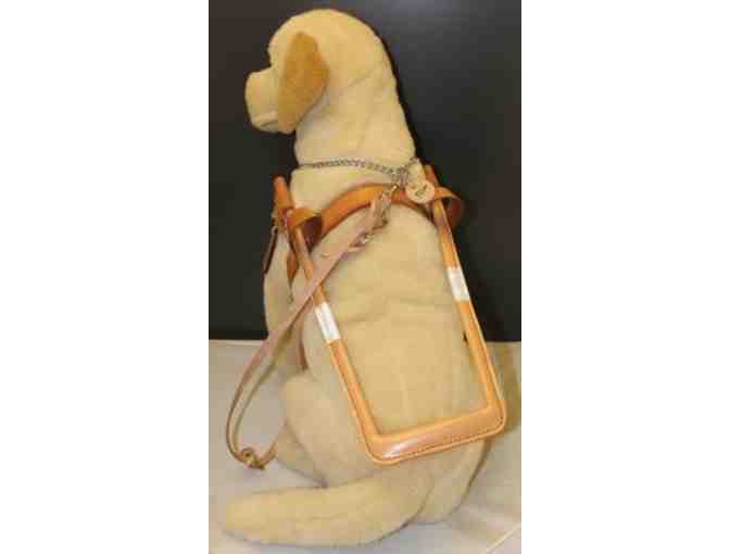 Yellow Lab in Seeing Eye Harness