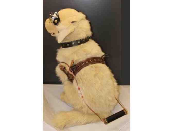 Golden Retriever in Steampunk Harness - Nemo