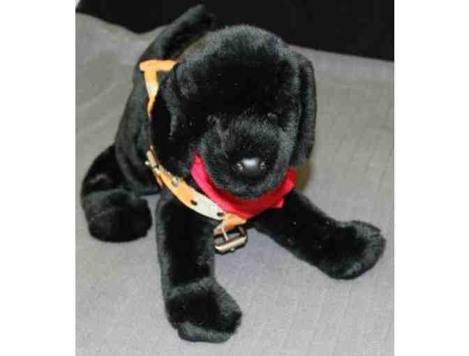 Black Labrador Retriever Plush in Harness