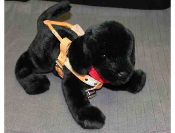 Black Labrador Retriever Plush in Harness