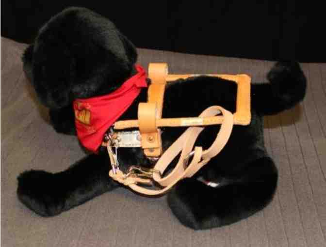 Black Labrador Retriever Plush in Harness