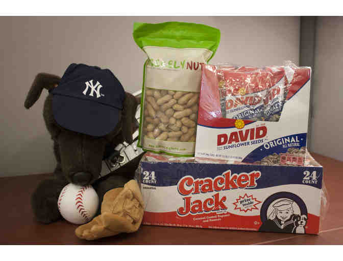 Fly, the Chocolate Lab with NY Yankees Baseball Themed Gear and Ball Park Snacks