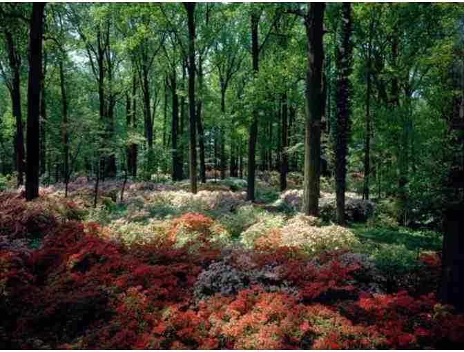 Winterthur General Admission Passes for Two - Wilmington, DE