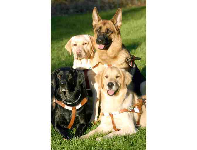 Spend a Day in New York City With a Team of Seeing Eye Instructors