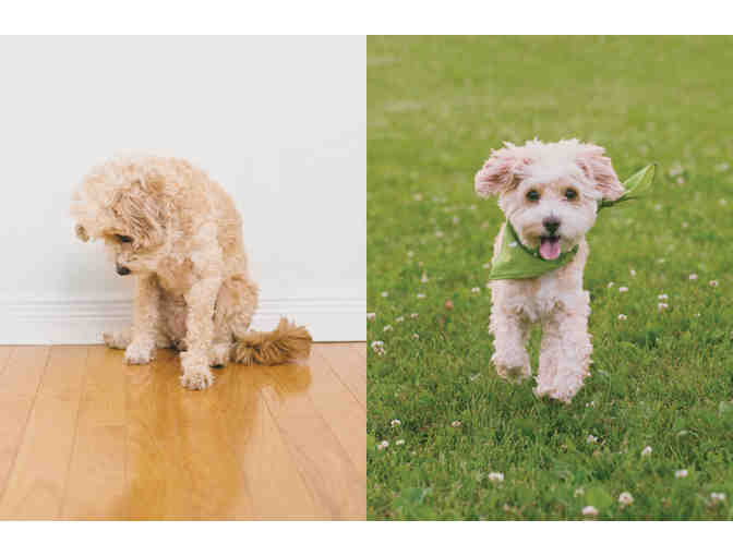 Earth Rated Gift Basket