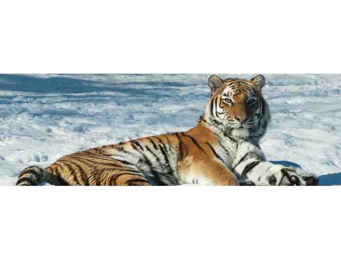 4 Tickets to the Philadelphia Zoo