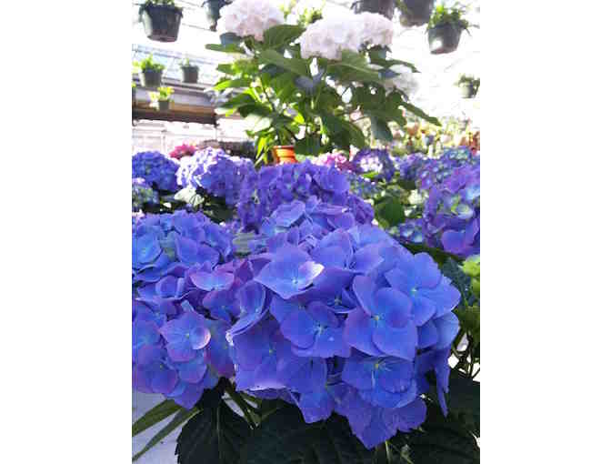 $100 Gift Card to The Farm at Green Village (1 of 2)