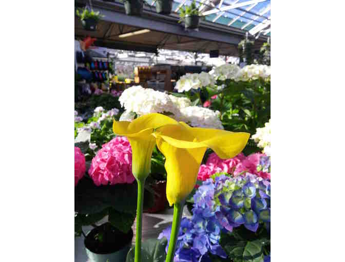 $100 Gift Card to The Farm at Green Village (2 of 2)