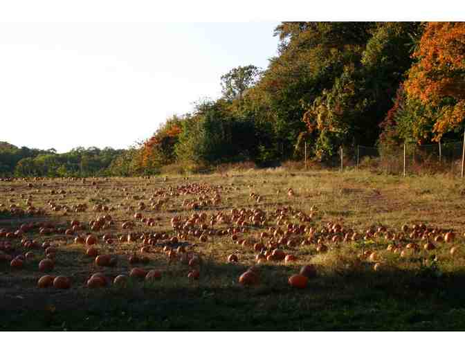 Apple Picking, Lunch & Hayride for Four at Demarest Farm - Hillsdale, NJ