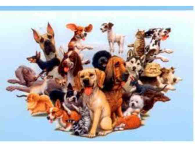 Two VIP Passes to the American Kennel Club's 'Meet the Breeds' (1 of 3)