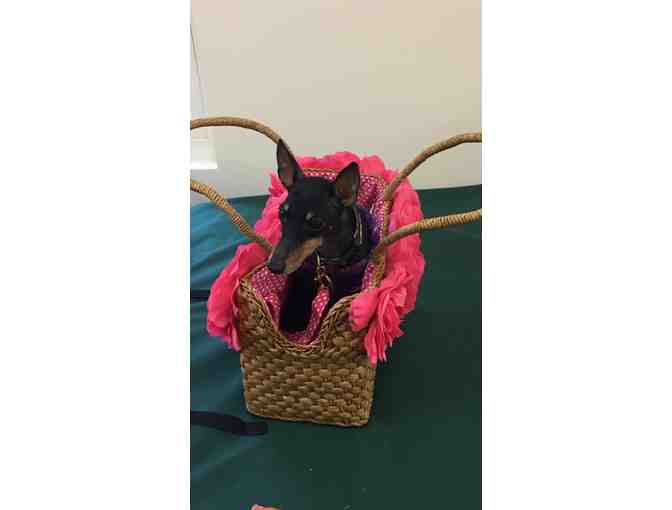 Blooming Pink Tote for Small Dog