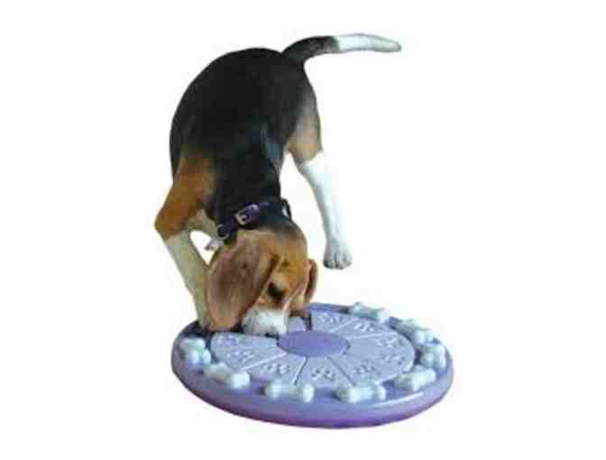 Dog Twister Interactive Game