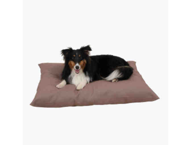 Large Dog Bed & $50 Gift Card to Pets Pets Pets in Califon, NJ