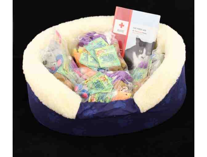 Blue Cat Bed Gift Set