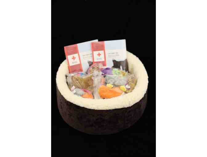 Cat Gift Set with Brown Velour Bed