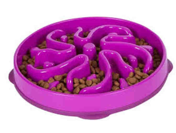 Promote Healthy Eating for Your Dog with the SLO-Bowl