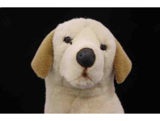 Whitney the Yellow Lab Plush in Harness