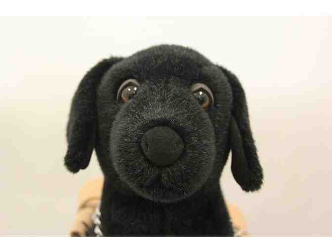 Black Lab Puppy Plush in Harness