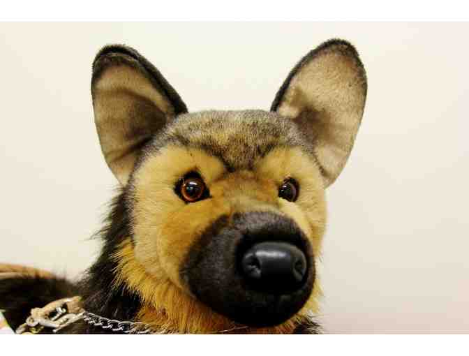 Banner the German Shepherd Plush in Harness