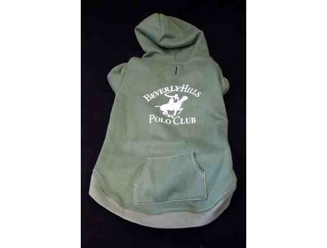Beverly Hills Polo Club Dog Hoodie in Forest Green, Size Small
