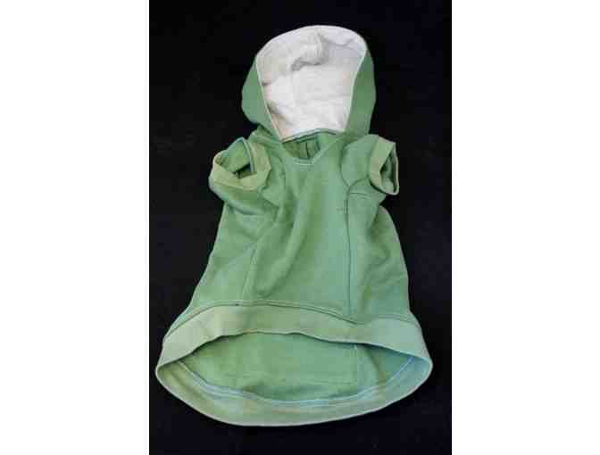 Beverly Hills Polo Club Dog Hoodie in Forest Green, Size Small