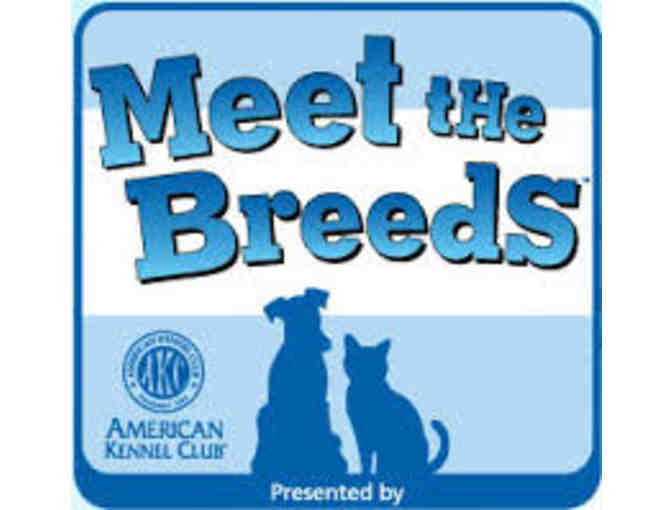 Two VIP Passes to the AKC's 'Meet the Breeds' in New York City (1 of 3)