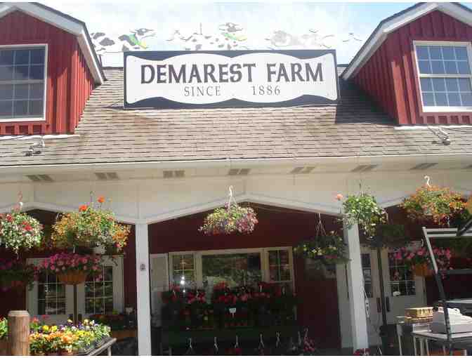 Apple Picking, Lunch & Hayride for Four at Demarest Farm - Hillsdale, NJ