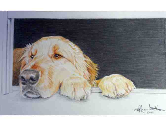 Custom Watercolor or Colored Pencil Pet Portrait by Artist Hava Hegenbarth